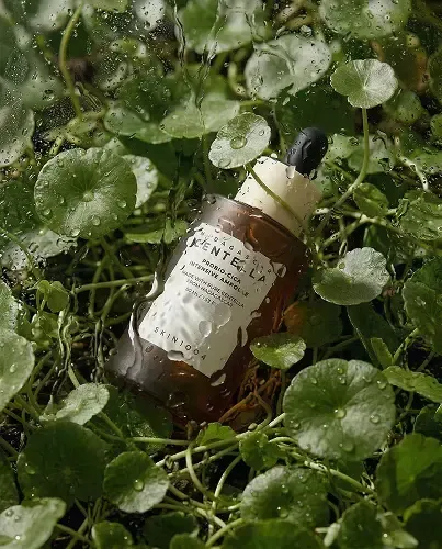 Нейрогенерации для бренда CENTELLA — работа студентов Design Wonderland